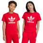 Trefoil voor Kinderen-Beter Scarlet