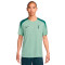 Nike Tottenham 2024-2025 Training T-Shirt